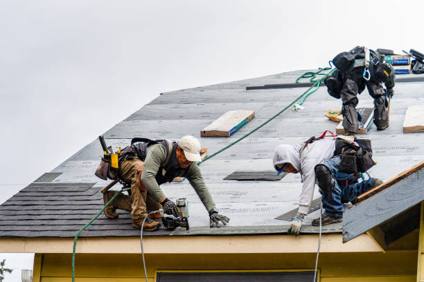 Professional Roofing technician working in Homestead, IA